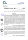 Vista preliminar de documento Resolucion Directoral N° 000427-2025
