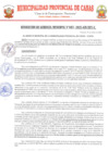 Vista preliminar de documento RG7