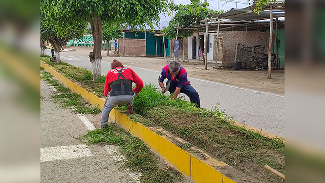 Personal edil realiza poda en los sardineles de la calle Unión del C.P. San José