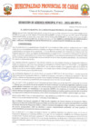 Vista preliminar de documento RG13