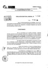 Vista preliminar de documento RDR 11649-2024