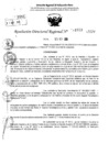 Vista preliminar de documento RDR 11653-2024