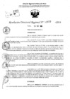 Vista preliminar de documento RDR 11657-2024