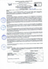 Vista preliminar de documento RD Nº 055 - 2025