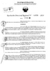 Vista preliminar de documento RDR 11658-2024