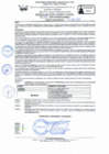 Vista preliminar de documento RD Nº 049 - 2025