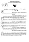 Vista preliminar de documento RDR 11659-2024