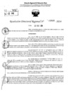 Vista preliminar de documento RDR 11660-2024