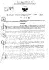 Vista preliminar de documento RDR 11661-2024