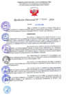 Vista preliminar de documento R.D Nº 000388 - ASCENDER DE ESCALA MAGISTERIAL -MERINO CASTRO MARIA ELENA