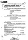 Vista preliminar de documento RDR 11665-2024