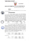 Vista preliminar de documento RG. N°046-2025-GRSM-PEAM-GG