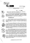 Vista preliminar de documento RDR 11667-2024