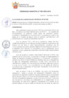 Vista preliminar de documento OM0032025MPA