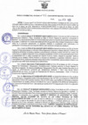 Vista preliminar de documento Resolucion 045