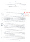 Vista preliminar de documento RESOLUCION DE ALCALDIA N 119-2024-MPPA-A