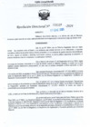 Vista preliminar de documento RDL-Nº-000109-2025-GRU-DREU-UGEL-CP - DNI N: 41997529