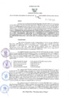 Vista preliminar de documento RES N°038-2025-DGC