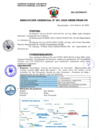 Vista preliminar de documento RG. N° 051-2025-GRSM-PEAM-GG