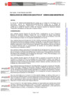 Vista preliminar de documento Resolución Directoral Ejecutiva