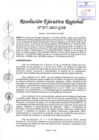 Vista preliminar de documento RER 077-2025-GOB