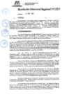 Vista preliminar de documento 033 2025