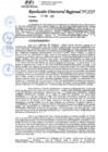 Vista preliminar de documento 036 2025