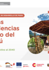 Vista preliminar de documento BAMBÚ Nuevas experiencias del uso de la Bambú