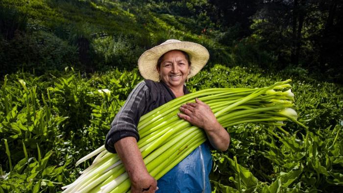 MIDAGRI