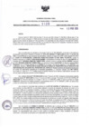 Vista preliminar de documento RDR N°125-2025-12-02-2025