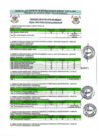 Vista preliminar de documento Resultados Preliminares