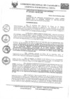 Vista preliminar de documento Resolución Gerencial Sub Regional N.° 143-2021-GR.CAJ.CH