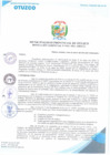 Vista preliminar de documento RESOLUCIÓN GERENCIAL N° 0101-2024-MPO-LL