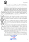 Vista preliminar de documento RGM044-2025