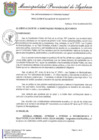 Vista preliminar de documento RESOLUCION DE ALCALDIA N° 541-2022-MPA-A