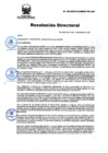 Vista preliminar de documento RD Nº 026-2025-DG-INSM