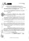 Vista preliminar de documento RDR 11673-2024