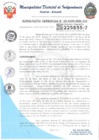 Vista preliminar de documento RESOLUCION GERENCIAL N°19-2025-MDI-GM