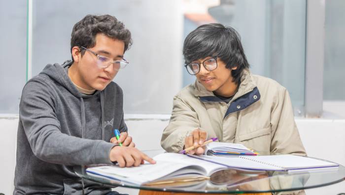 Becarios del Pronabec estudiando