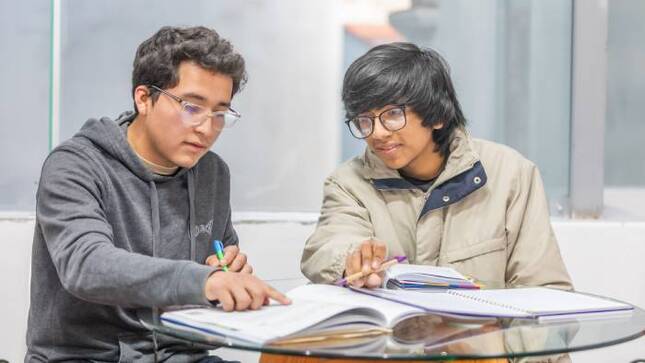 Becarios del Pronabec estudiando