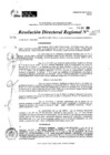 Vista preliminar de documento RDR 11685-2024