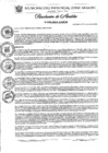 Vista preliminar de documento Nº 507-2024