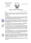 Vista preliminar de documento RD-029-2025-INCN-DG-OP