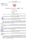 Vista preliminar de documento Resolución Directoral N° 000067 - 2025