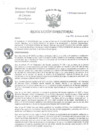 Vista preliminar de documento RD-033-2025-INCN-DG-OP