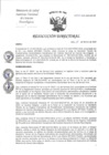 Vista preliminar de documento RD-043-2025-DG-INCN