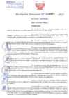 Vista preliminar de documento Resolución Directoral N° 000075 - 2025