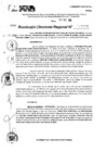 Vista preliminar de documento RDR 11690-2024