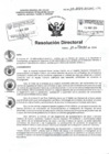 Vista preliminar de documento Conformacion del Comite de Investigacion