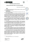 Vista preliminar de documento rd033-2025